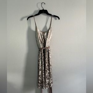 EUC Gorgeous champagne gold sequins Express dress. Worn one time.